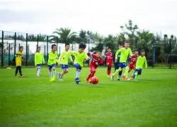 佩雷拉左手,骨折,坚持指挥比,8波足球比分,8波体育即时比分,8波体育比分网,比分直播