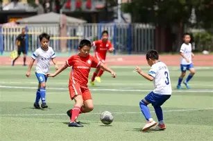 字母哥,得分难挽败,球队战绩低,8波足球比分,8波体育即时比分,8波体育比分网,比分直播